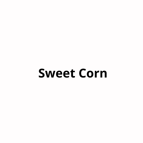 Sweet Corn