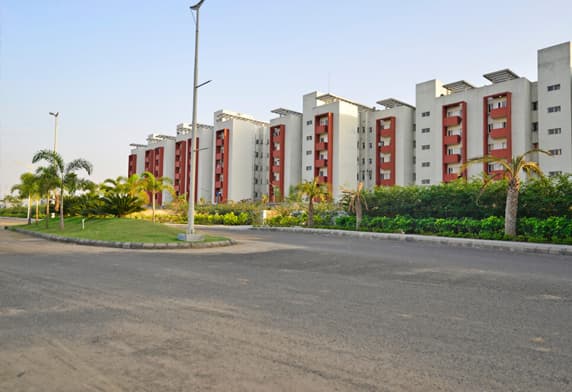 Tropical Foliage - A Feast Of Colour